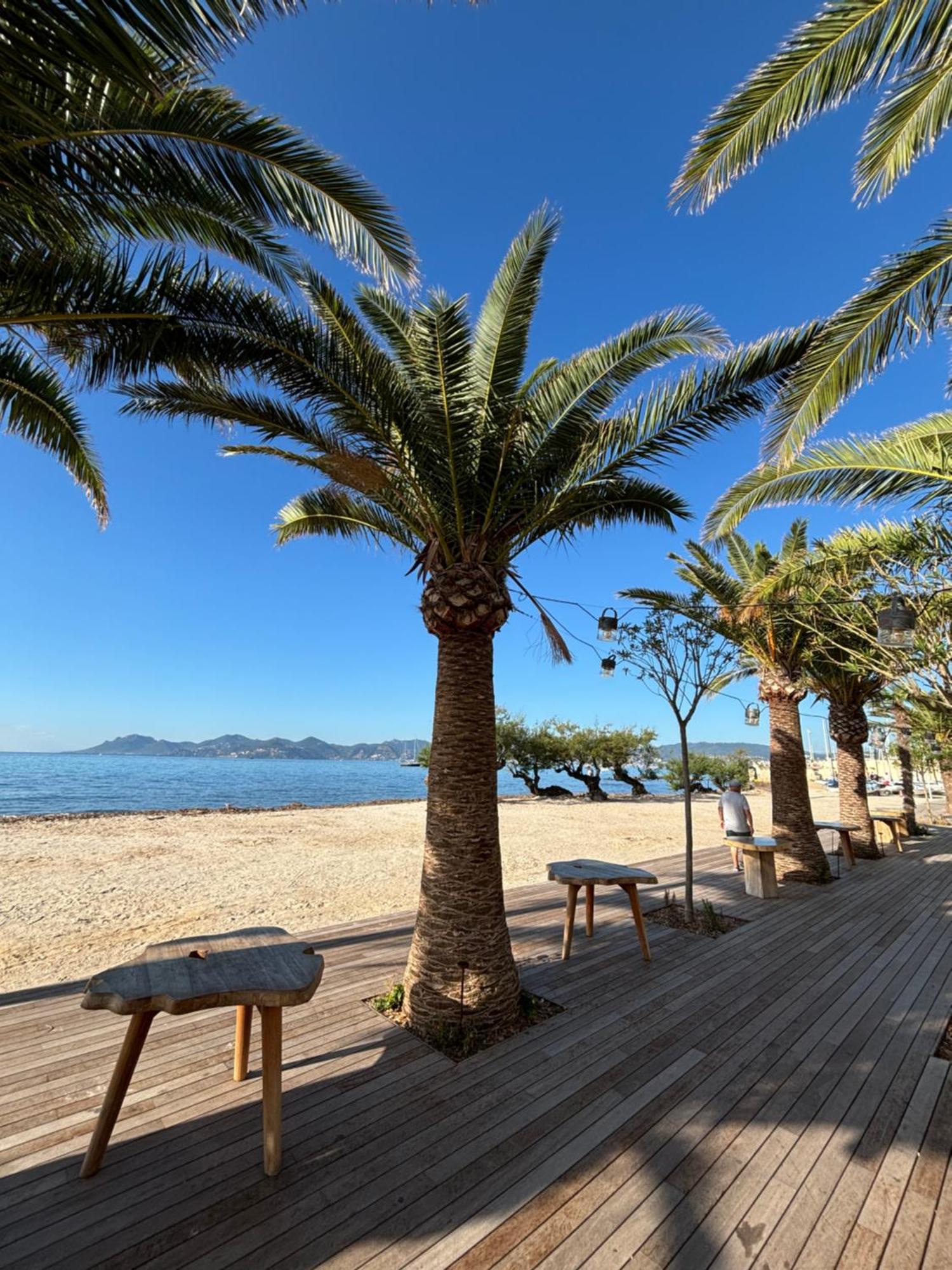 Appartement 70m2, 2 Pour 4 Pers Avec Terrasses A 200m Des Plages, Palmbee